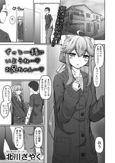 【無料で読める？】ずっと一緒にいようね…◇お兄ちゃん…◇（単話） 【b182asnw01681】