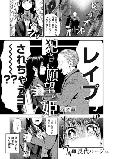 【無料で読める？】犯●れ願望の姫（単話） 【b257bdmmg01367】