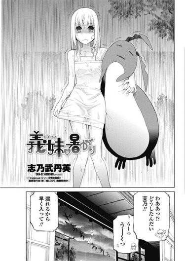 【無料で読める？】義妹は暑がり（単話） 【b469adgsk02688】