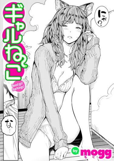 【無料で読める？】ギャルねこ（単話） 【b915awnmg02319】