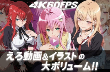 【無料で読める？】【4k60fps】「ハメ撮りされる」- 3キャラクター【音声動画3本＋イラスト480枚の大ボリューム！！】 【Yuuchiki】