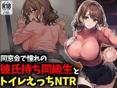 【無料で読める？】同窓会で憧れのマドンナ的同級生とトイレえっちNTR 【豊乳斎射爆】