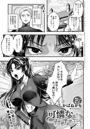 【無料で読める？】可憐なカノジョ（単話） 【k568agotp03987】