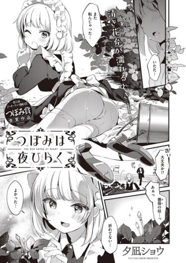 【無料で読める？】つぼみは夜ひらく（単話） 【k568agotp04766】