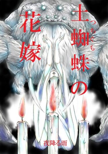 【無料で読める？】土蜘蛛の花嫁（単話） 【k804annbn20016】