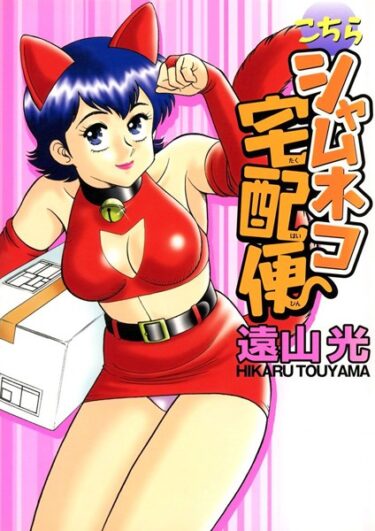 【無料で読める？】こちらシャムネコ宅配便 【k966ajcts02286】