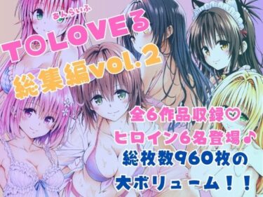 【無料で読める？】ToLOVEる総集編Vol.2 【あんらいふ】
