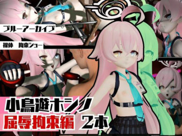 【無料で読める？】ブルーアーカイブの小鳥遊ホシノ生誕祭、誕生日ということで拘束調教動画2本セット！ 【異世界転生】
