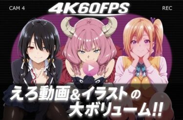 【無料で読める？】【4k60fps】「ハメ撮りされる」- 3キャラクター【音声動画3本＋イラスト464枚の大ボリューム！！】 【Yuuchiki】