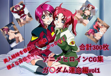 【無料で読める？】懐かしヒロイン集！ガン〇ム運命編 【からすみおかず屋】