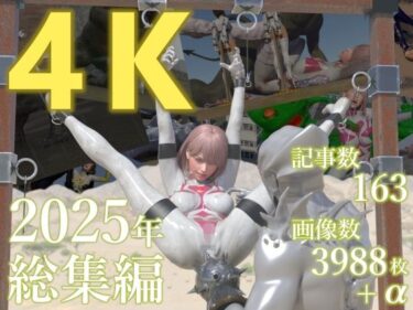 【無料で読める？】tsumayoji研究所 2025年 総集編 ［4K version］ 【tsumayoji研究所】