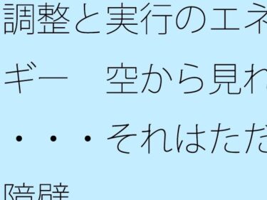 【無料で読める？】調整と実行のエネルギー  空から見れば・・・それはただの障壁 【サマールンルン】