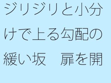【無料で読める？】ジリジリと小分けで上る勾配の緩い坂  扉を開くと戻れる現状認識ではあるが 【サマールンルン】