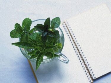 【無料で読める？】おむつ現役JK作家の最期 【リョナの監獄】