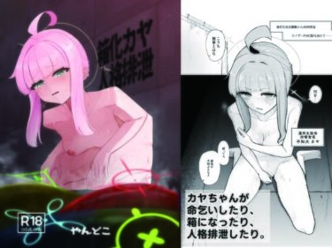 【無料で読める？】箱化カヤ人格排泄 【やんどこ】