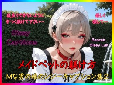 【無料で読める？】Sissy Captions Mな男の娘のシシーキャプション集2 メイドペットの躾け方 後戻りできないようにきつく躾けて下さい… 優しく壊して… 【Secret Sissy Lab】