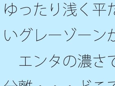 【無料で読める？】ゆったり浅く平たいグレーゾーンが  エンタの濃さで分離・・・どこでもあるとは分かるが主観のトンネルで 【サマールンルン】