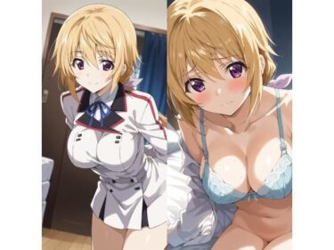 【無料で読める？】シャルロット・デュノアイラスト集1 【freezereplay】