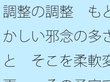 【無料で読める？】調整の調整  もどかしい邪念の多さと  そこを柔軟変更・・その予定でいいのか 【サマールンルン】