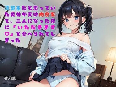 【無料で読める？】【お気軽小説】清楚系だと思っていた義妹が実は肉食系で、二人になった夜に「いただきます（ハート）」と食べられてしまった 【さのぞう】