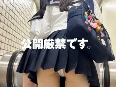 【無料で読める？】【AI生成】6sec. Vol.5 -風の悪戯、エスカレーターの記憶- 84枚のシチュエーション・フォト集 【すず】