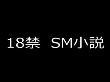 【無料で読める？】SM小説（6） 狙われた女子校生・成瀬璃子 下巻 【蘭雨】