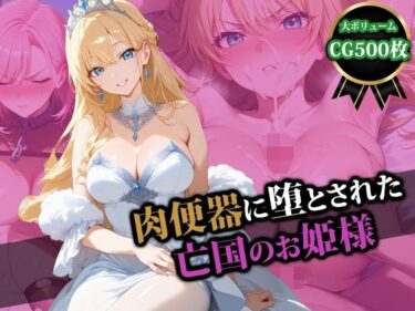 【無料で読める？】肉便器に堕とされた亡国のお姫様 【猫P2】