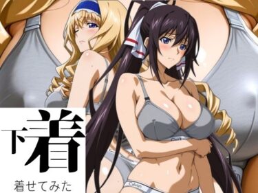 【無料で読める？】あの下着を着せてみた。 ほ〇き＆セ〇リア 【ぶるん】
