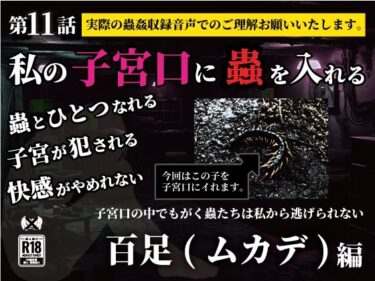 【無料で読める？】私の子宮口の中に蟲を入れる 第11話 百足（ムカデ）編 【シングルママの日常】