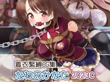 【無料で読める？】着衣緊縛CG集 なわのかなた 2023C 【村雲茶屋】