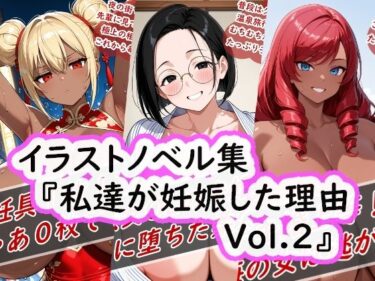 【無料で読める？】イラストノベル集『私達が妊娠した理由Vol.2』 【花祭真夏のAI工房】
