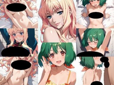 【無料で読める？】マク〇スF  2キャラいろいろHなAIイラスト集  100枚 【B-AI-cat】