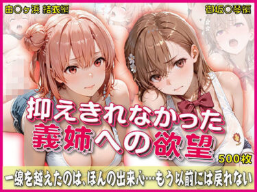 【無料で読める？】抑えきれなかった義姉への欲望【豪華CG500枚収録】 【奪われた純愛】