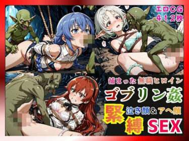 【無料で読める？】捕まった無職ヒロインがゴブリン姦で緊縛されて泣き顔＆アヘ顔SEX！【ロキシー・エリス・シルフィ編】 【猫にマタタビ】