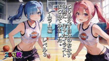 【無料で読める？】とりあえず自分のおかずの為に、作ったイラストまとめてみました。  レムラム編  レベル3 【aogami工房】