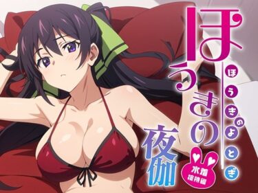 【無料で読める？】ほうきの夜伽 水着接待編 【排便量管理人】