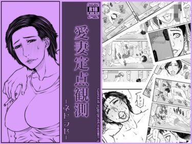 【無料で読める？】愛妻定点観測 -ネトラセ- 【パラディドル】