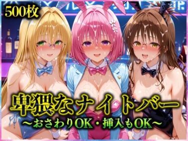 【無料で読める？】卑猥なナイトバー  〜おさわりOK・挿入もOK〜 Vol.2 【アクメガール】
