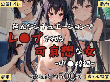 【無料で読める？】超絶不幸〜色んなシチュエーションでレ●プされる可哀想な女〜中●梓編 【HB鉛筆】