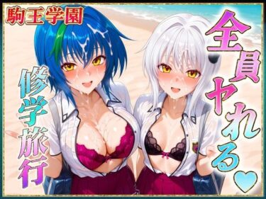 【無料で読める？】駒王学園の孕ませ修学旅行 【ヒロインのおっぱい】