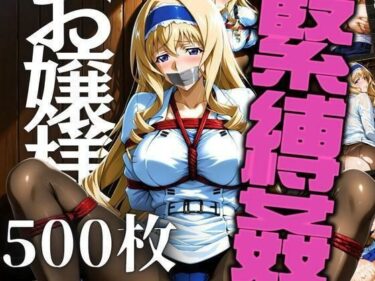【無料で読める？】お嬢様を緊縛姦 【エロ灰皿】