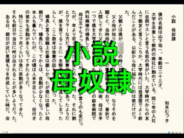 【無料で読める？】小説  母奴● 【如月むつき】