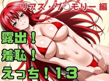 【無料で読める？】露出！羞恥！えっち！二次創作イラスト集13［リアス・グ○モリー］ 【ギリギリあんだーどっぐ】