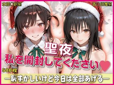 【無料で読める？】聖夜、私をプレゼントします【豪華CG500枚収録】 【奪われた純愛】