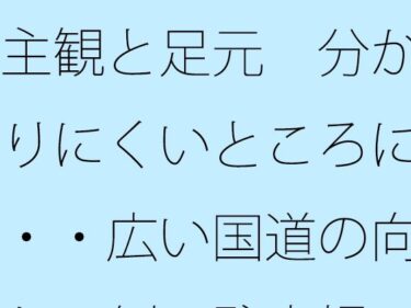 【無料で読める？】主観と足元  分かりにくいところに・・広い国道の向かい側の駐車場 【サマールンルン】