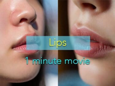 【無料で読める？】1分動画 Lips 【もりくまぐらふ】
