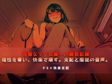 【無料で読める？】完璧なマゾ奴●への調教記録 【夜の息抜き】