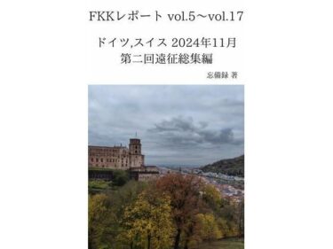 【無料で読める？】FKKレポート vol.5〜vol.17 ドイツ，スイス 2024年11月 第二回遠征総集編 【忘備録】