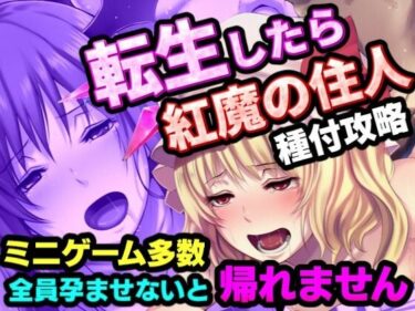 【無料で読める？】転生したら紅魔館の住人だった件 【夢幻Paradox】