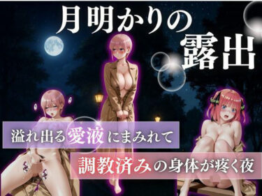 【無料で読める？】月明かりの露出狂vol.4 【禁断ノ声】